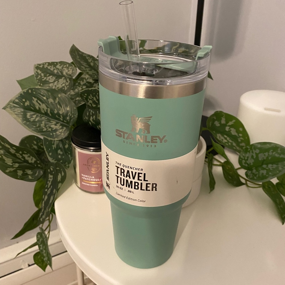 SALE !!! 30oz Stanley Cup
